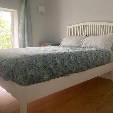 Bijou Mews In The Victorian Q Apartment Cork Luaran gambar